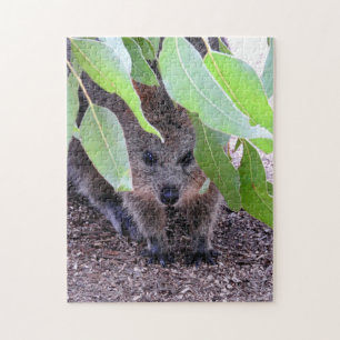 Quokka Puzzle Legpuzzel