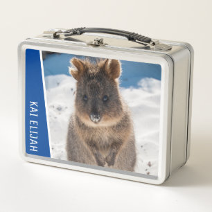 Quokka Schattig Dier op het Strand Australië Blauw