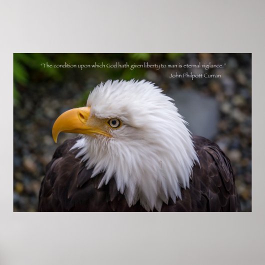 Quote Eagle Eternal Vigilance Poster (Voorkant)