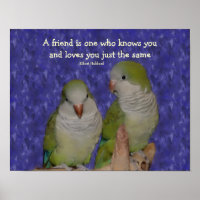 Quote Quaker Parrot Pair Friendship