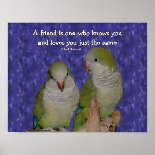 Quote Quaker Parrot Pair Friendship Poster