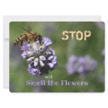 Quote Stop Smell Flowers