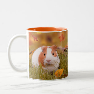 Quote voor cavia's en foto's tweekleurige koffiemok