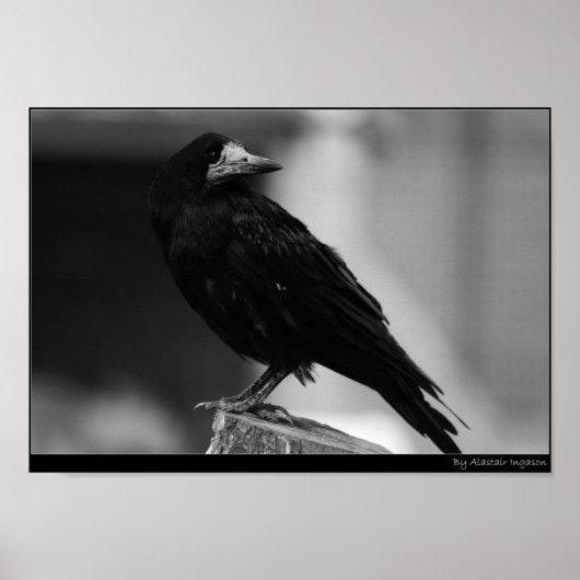 Quoth the Raven Poster (Voorkant)