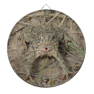 R10 Prairie Padden Dartbord