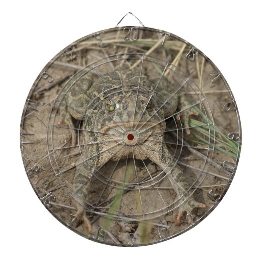 R10 Prairie Padden Dartbord (Voorkant)