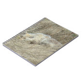 R13 Coyote in Tall Grass Notitieboek (Linkerzijde)