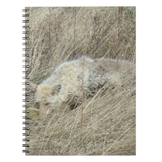 R13 Coyote in Tall Grass Notitieboek (Voorkant)