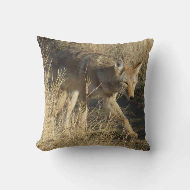 R14 Coyote Loopt Kussen (Voorkant)