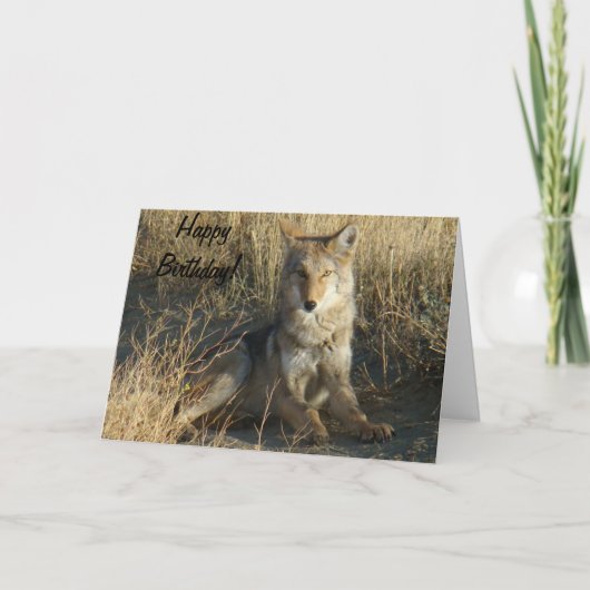 R15 het Leggen van de Coyote Kaart (Voorkant)