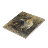 R16 Coyote kraken Tegeltje (Zijkant)