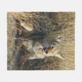 R18 Coyote Laying Fleece Deken (Voorkant (Horizontaal))