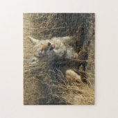 R18 Coyote Laying Legpuzzel (Verticaal)