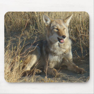 R18 Coyote Liggend Muismat