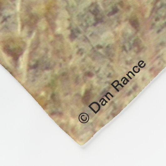 R19 Coyote Laying Fleece Deken (Hoek)