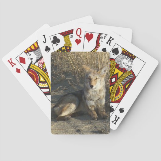R19 Coyote Liggend Pokerkaarten (Achterkant)