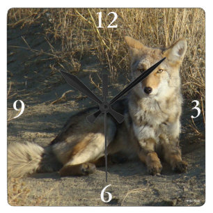 R19 Coyote Liggend Vierkante Klok