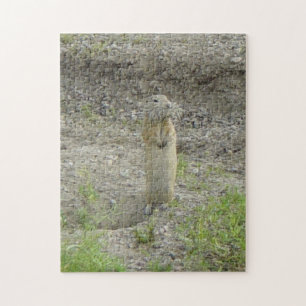 R1 Richardsons Grondsquirrel Gopher Legpuzzel
