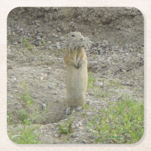R1 Richardson's Grondsquirrel (Gopher) Vierkante Kartonnen Onderzetter