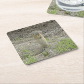 R1 Richardson's Ground Squirrel (Gopher) Vierkante Kartonnen Onderzetter (Schuin)