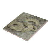 R20 Prairie Rattlesnake Tegeltje (Zijkant)
