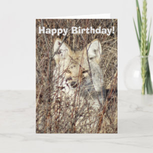 R21 Coyote "Je bekijken" Kaart