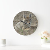R22 Coyote Laying Grote Klok (Huis)