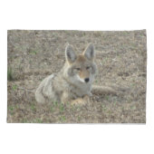 R22 Coyote Liggend Kussensloop (Achterkant)