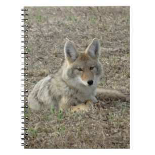R22 Coyote Liggend Notitieboek