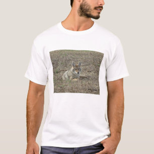 R22 Coyote Liggend T-shirt
