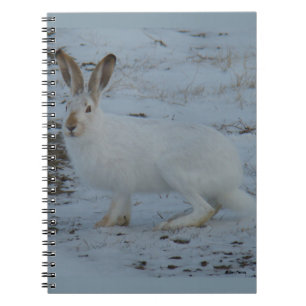 R23 Sneeuwschoehaas Notitieboek