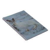 R23 Snowshoe Hare Notitieboek (Rechterzijde)