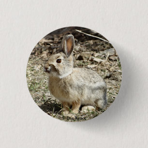 R24 Katoenstaartkonijn Ronde Button 3,2 Cm