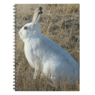 R25 Snowshoe Hare Notitieboek