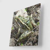 R3 Kikker van luipaard Vierkante Klok (Hoek)