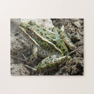 R3 Luipaardkikker Legpuzzel