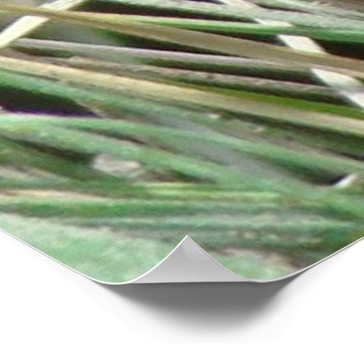 R4 Bull Snake in Grass Poster (Hoek)