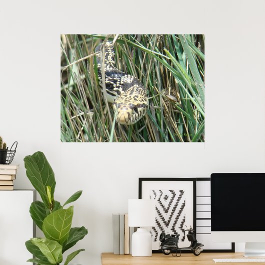 R4 Bull Snake in Grass Poster (Thuiskantoor)