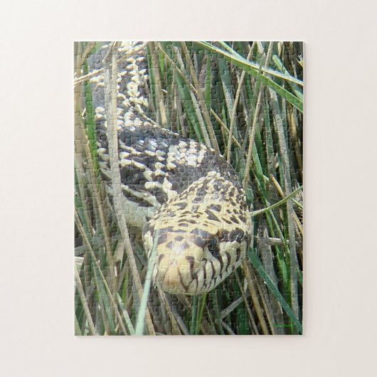 R4 Stierslang Legpuzzel (Verticaal)