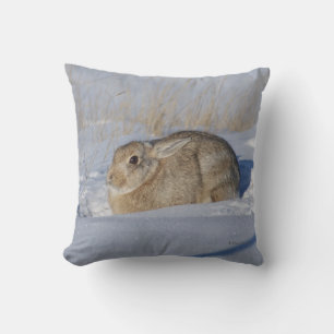 R5 Cottontail Konijn in Sneeuw Kussen