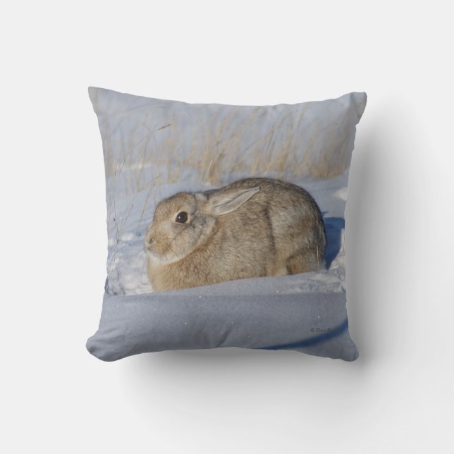 R5 Cottontail Konijn in Sneeuw Kussen (Voorkant)