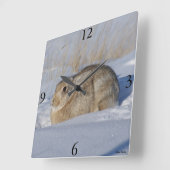 R5 Katoen konijn in sneeuw Vierkante Klok (Hoek)