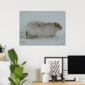 R7 Snowshoe Hare Ready to Run Poster (Thuiskantoor)