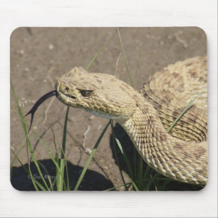 R8 Prairie Ratelslang Kop Schot Muismat