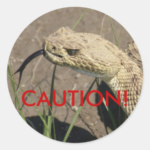R8 Prairie Ratelslang Kop Schot Ronde Sticker