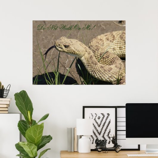 R8 Prairie Rattlesnake Head Shot Poster (Thuiskantoor)