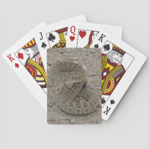 R9 Prairie Ratelslang Opgerold Pokerkaarten