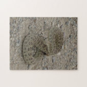 R9 Prairie Rattlesnake Coiled Legpuzzel (Horizontaal)