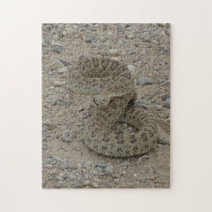 R9 Prairie Rattlesnake Coiled Legpuzzel
