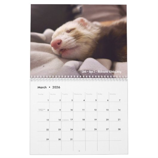r/ferrets 2024 calendrier du concours (Mar 2026)